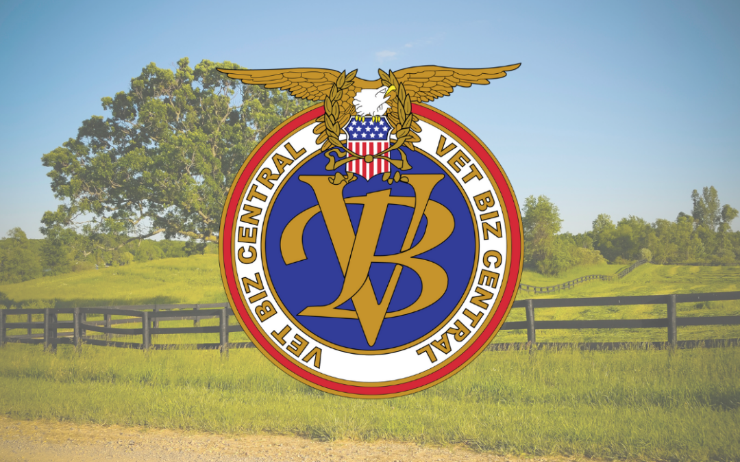 VetBiz Central: VetBizCentral Access to Capital Webinar – March 18, 2025