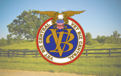 VetBizCentral: Small Business Start-up Orientation; January 8, 2025