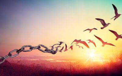 “Before you get to autonomy” Blog by Rob Campbell