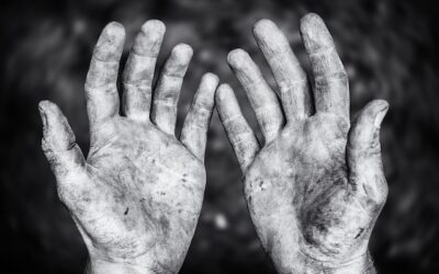 Vet-to-CEO:  “Hard work. Not hard” blog by Rob Campbell