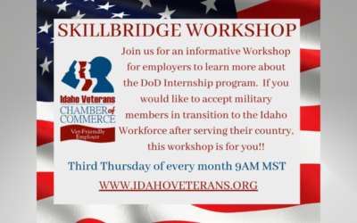 ID Veterans Chamber of Commerce: Virtual DoD SkillBridge Employer Introduction; January 18th 2024, 9:00am-10:00am MST