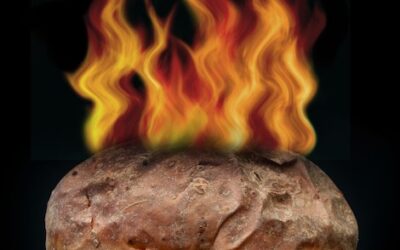 “Politics – the office hot potato” Blog by Rob Campbell