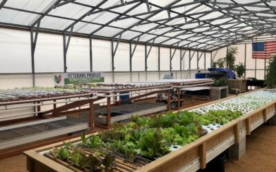 Veterans Produce: Bringing Food Security and Hope to Homeless Veterans