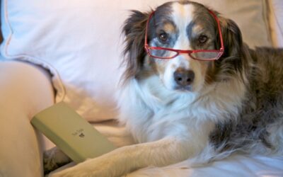 “Old dog new tricks? Maybe.” Blog by Rob Campbell