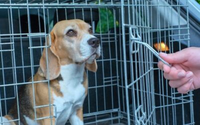 Your Safe Space Isn’t Safe blog by Rob Campbell