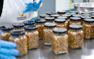 ID Veteran Chamber of Commerce: Idaho Food to Farm Business Builder Grants