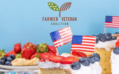 FVC Celebrates 16th Birthday