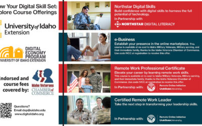 Free Remote and eCommerce Certs (ID Veterans & Families)