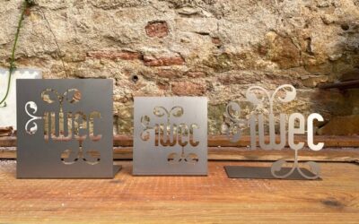 IWEC Foundation June 4th Webinar at 9am EST