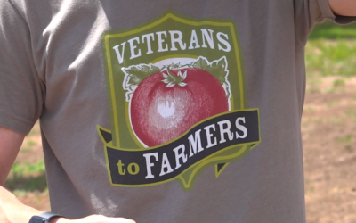A Pause in the Fields: Supporting Veterans to Farmers in a Time of Transition