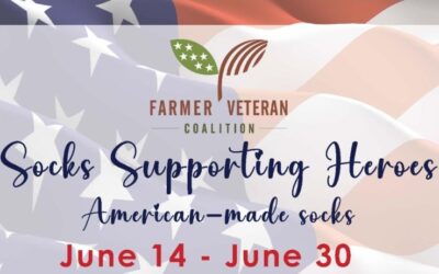 FVC Socks Supporting Heroes