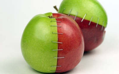 Opposites Attract. Especially In Leadership Blog by Rob Campbell